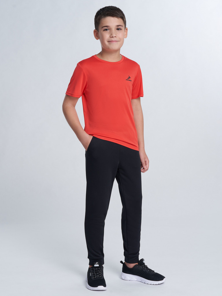 Футболка для мальчиков Demix