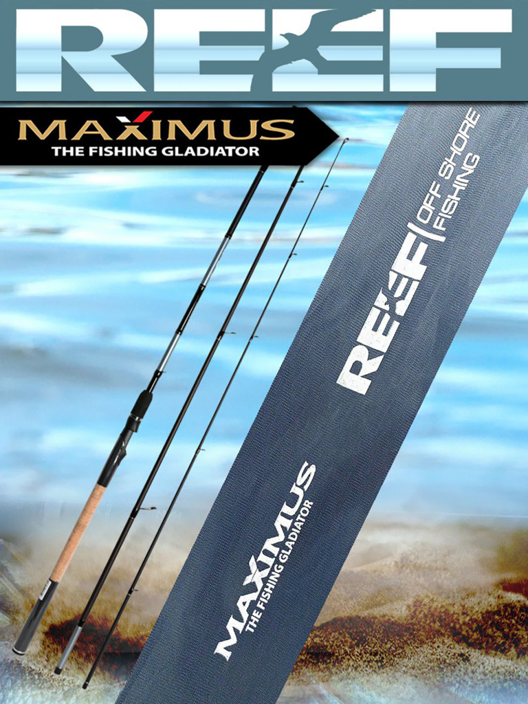 Спиннинг для рыбалки Maximus REEF 393MH 3,9 м 17-50 g