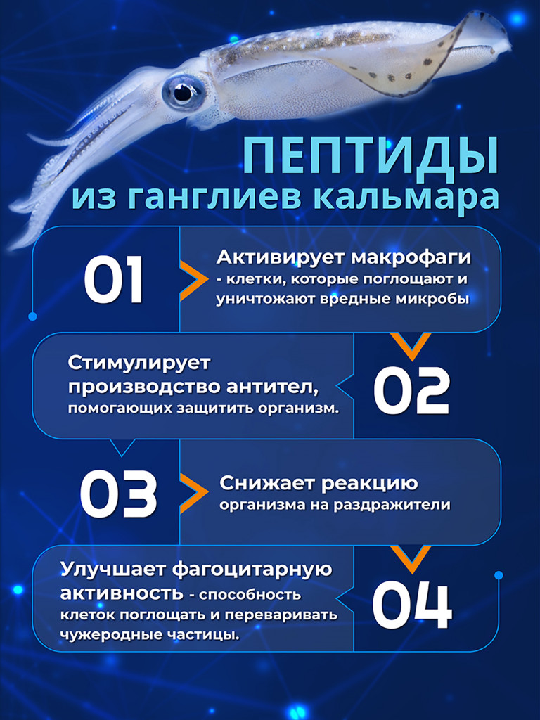 Морские пептиды из ганглиев кальмара, пептидный комплекс для поддержки иммунитета и восстановления организма, 30 капсул / Доктор Море