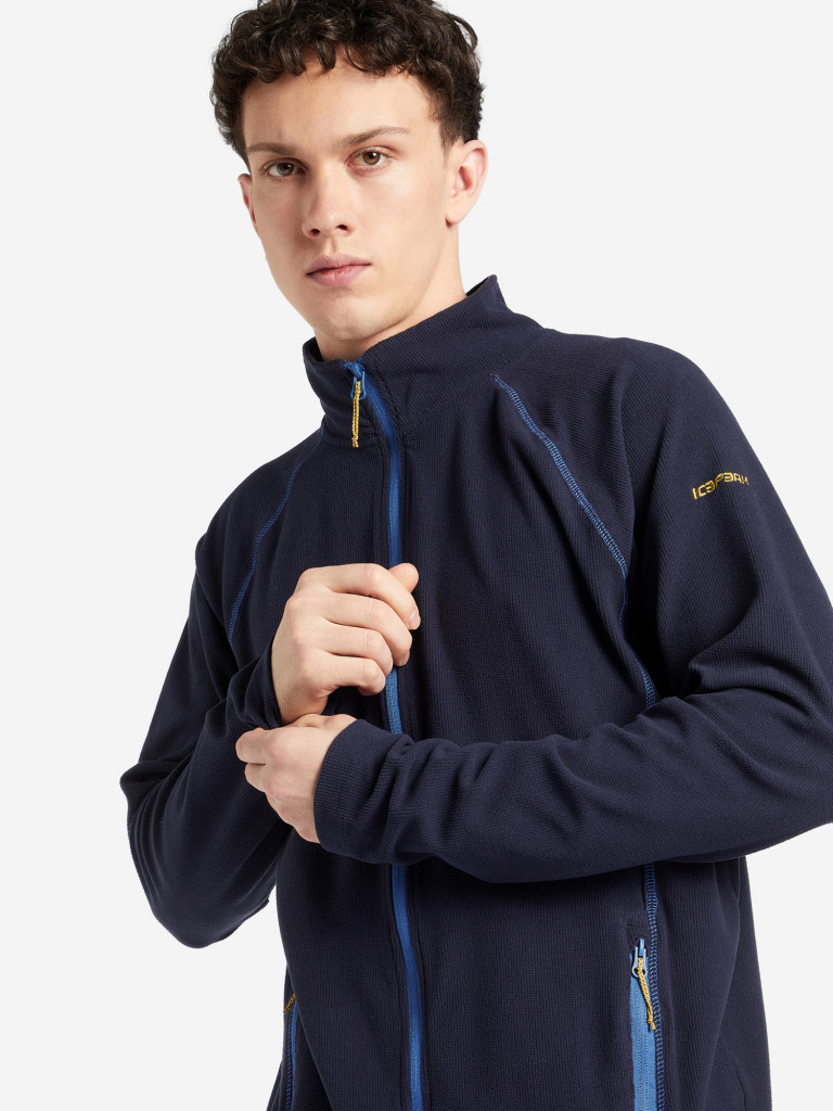Джемпер флисовый мужской IcePeak Bevington