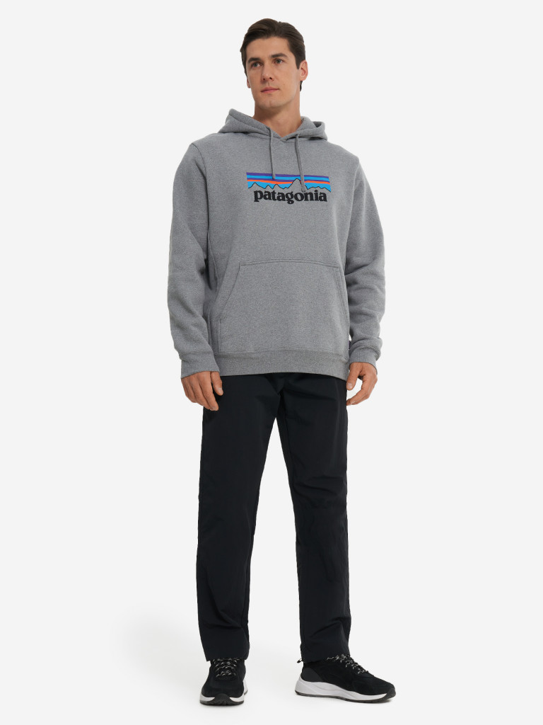 Худи мужское Patagonia Logo Uprisal