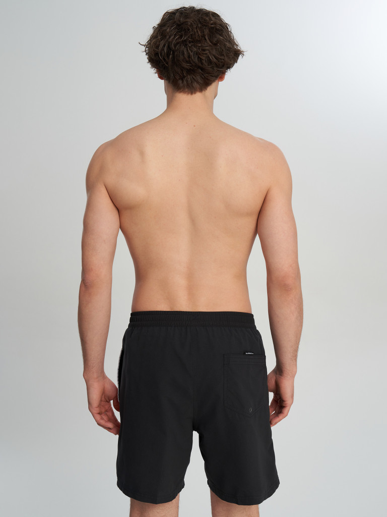 Шорты плавательные мужские Quiksilver Everyday Clicker Volley 17