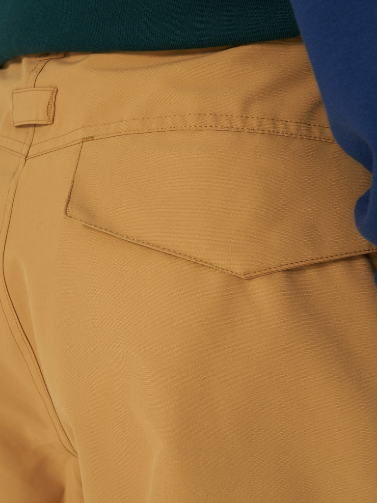 Брюки утепленные мужские DC Shoes Banshee