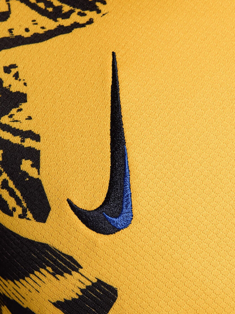 Футболка спортивная мужская Nike Inter Milan Dri Fit FW24