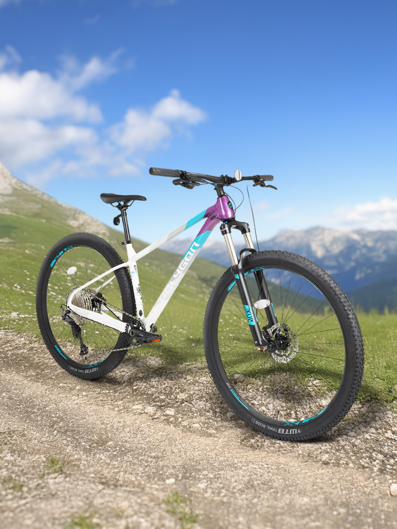 Велосипед горный Polygon Xtrada 7 29 Мультицвет 108899₽