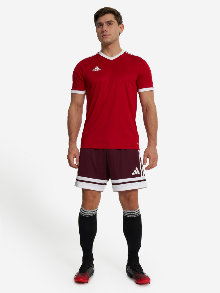 Шорты мужские adidas Squa25