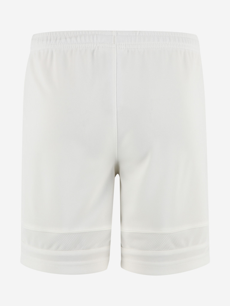 Шорты для мальчиков Nike Dri-FIT Academy
