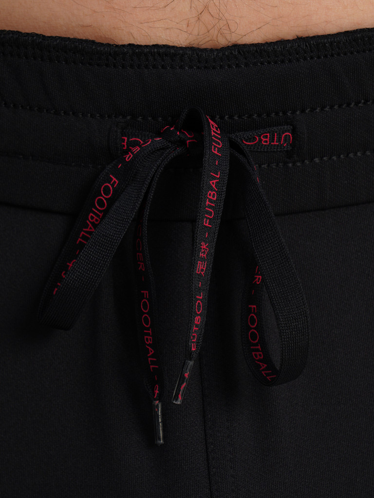 Брюки мужские Demix Playmaker