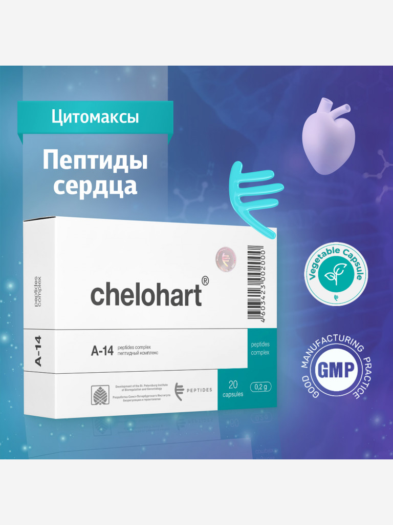 Натуральные пептиды сердца - Челохарт N20