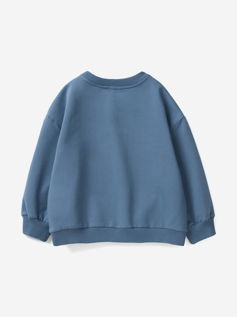 Свитшот для мальчиков Artie