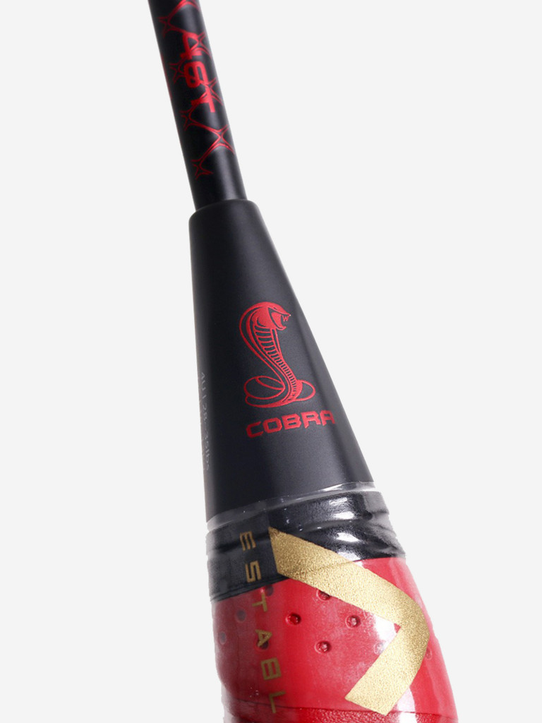 Ракетка для бадминтона MAXX COBRA X2