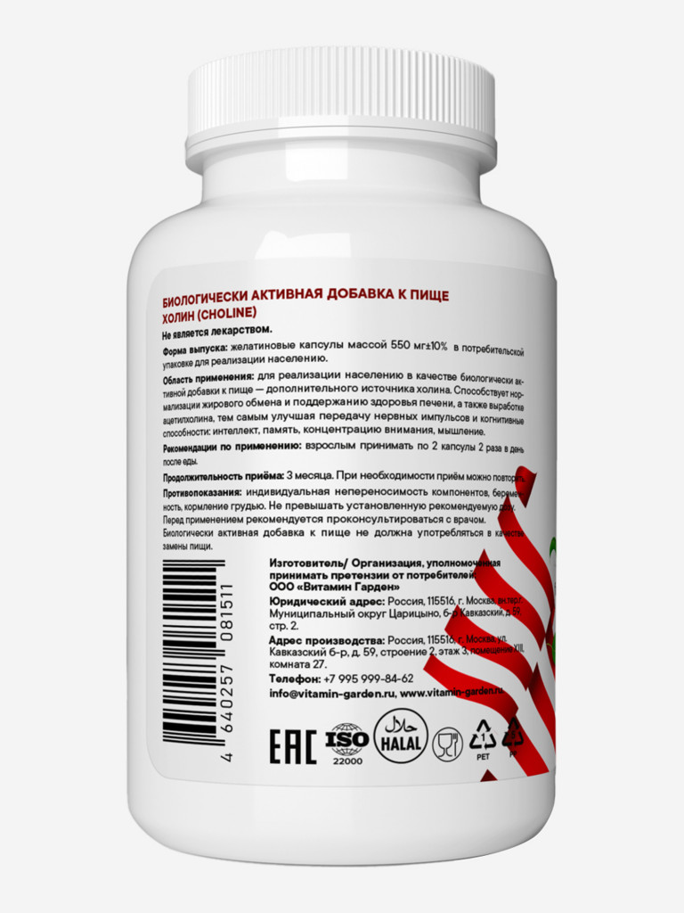 Холин VITAMIN GARDEN BASIC DAILY, 120 капсул