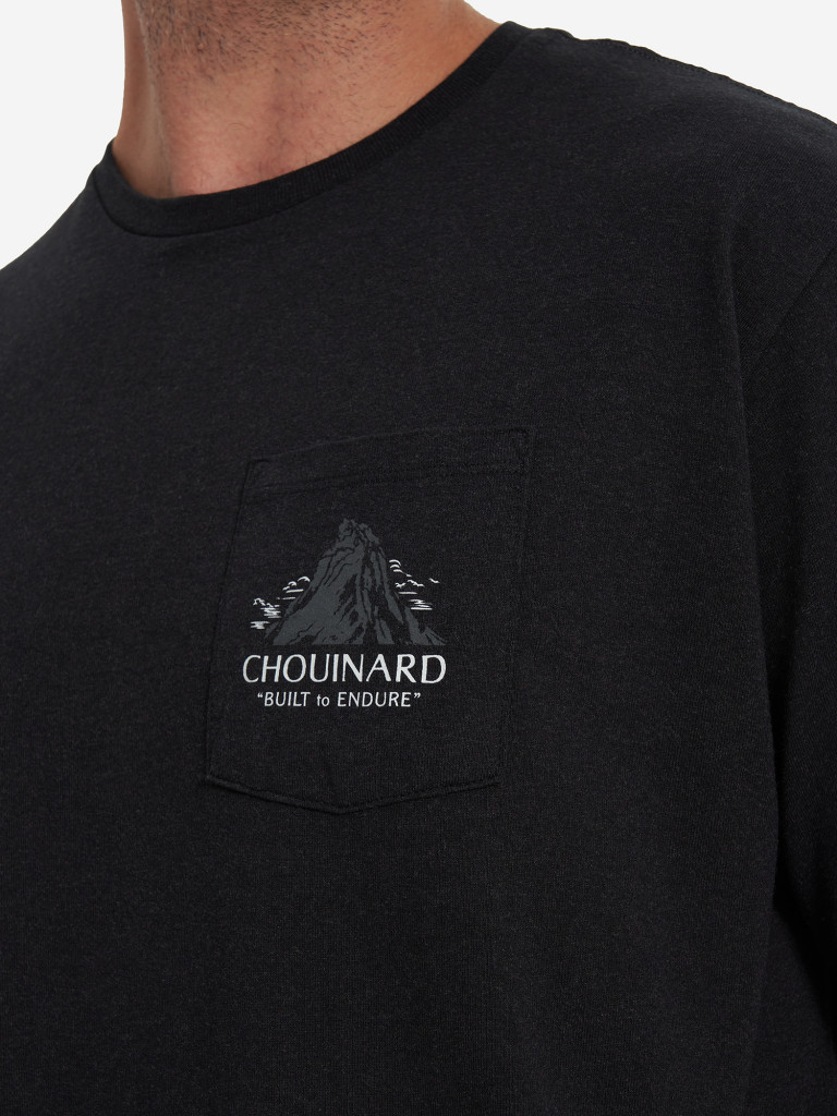 Футболка мужская Patagonia Chouinard Crest