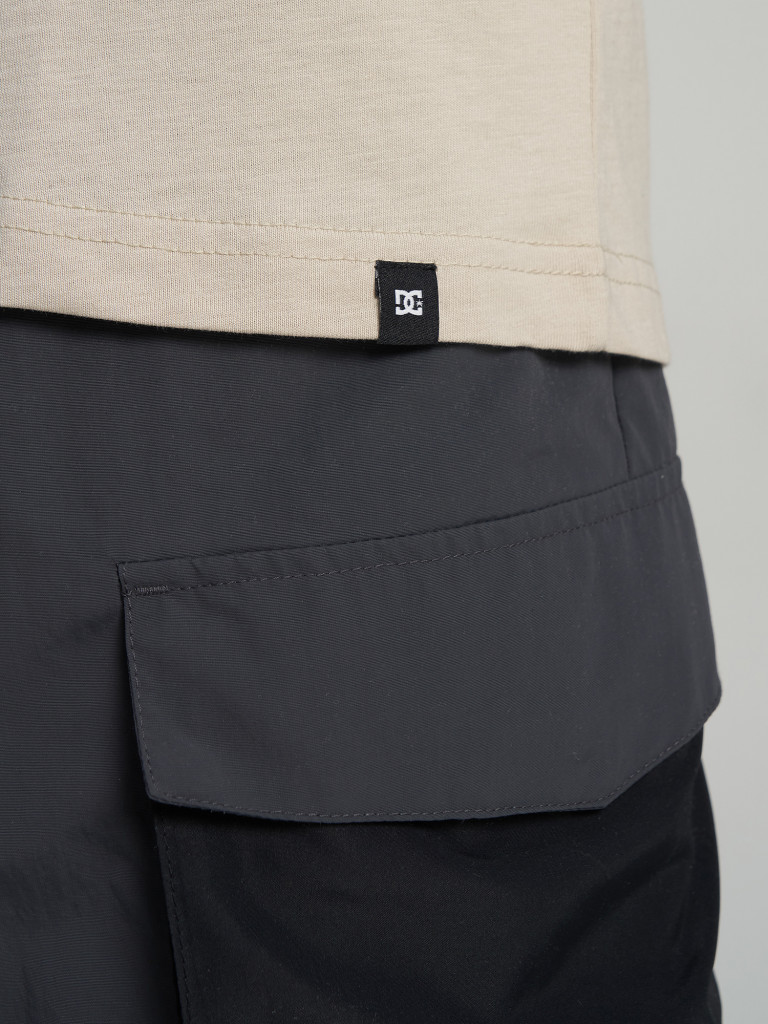 Футболка мужская DC Shoes Metallic Star