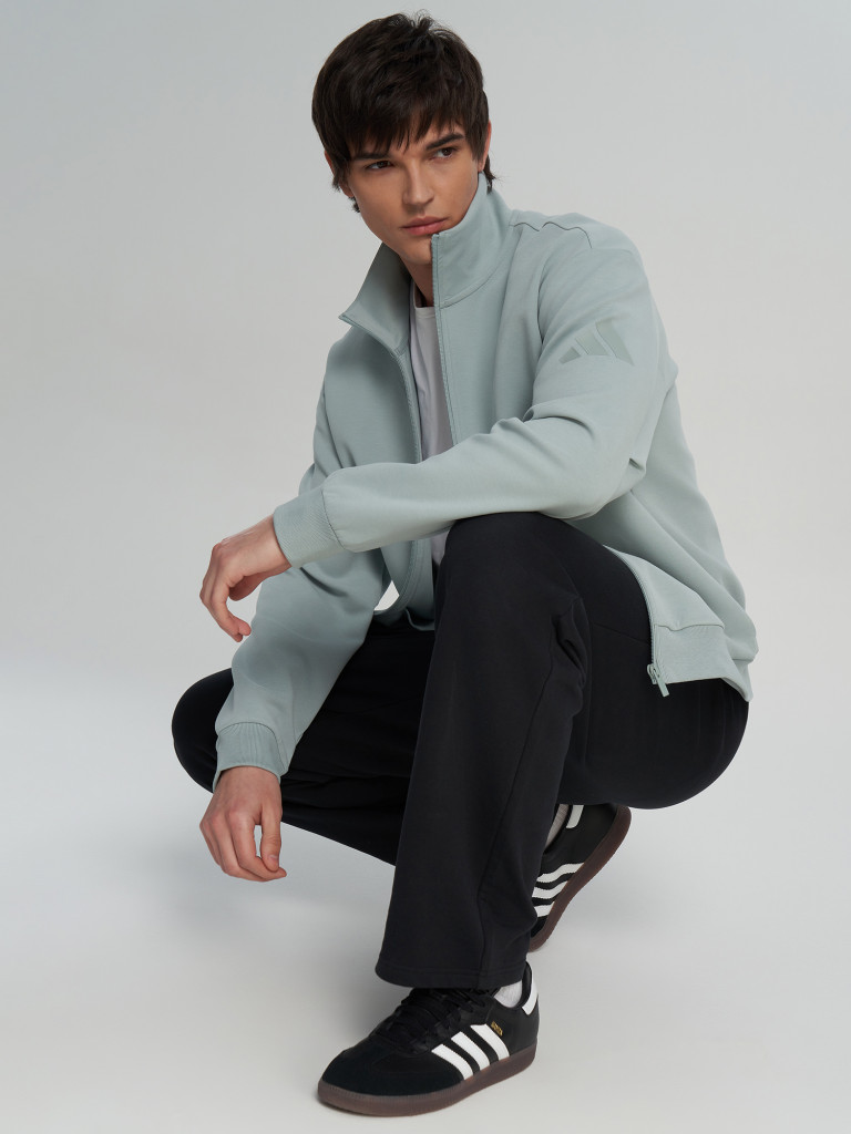 Толстовка мужская Adidas