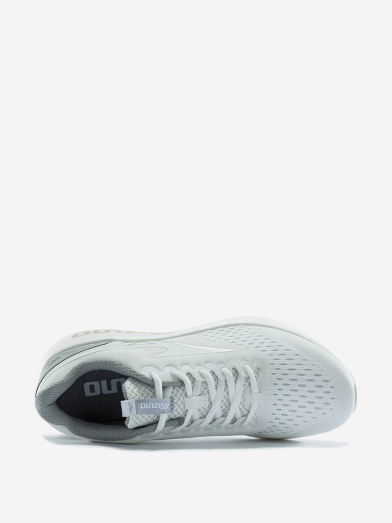 Кроссовки беговые мужские Mizuno Pi EC