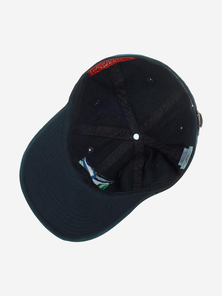 Бейсболка AMERICAN NEEDLE 40742B-HAW Hartford Whalers Blue Line NHL