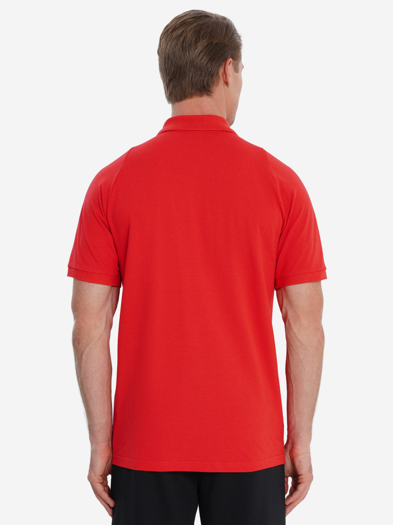 Поло мужское Demix