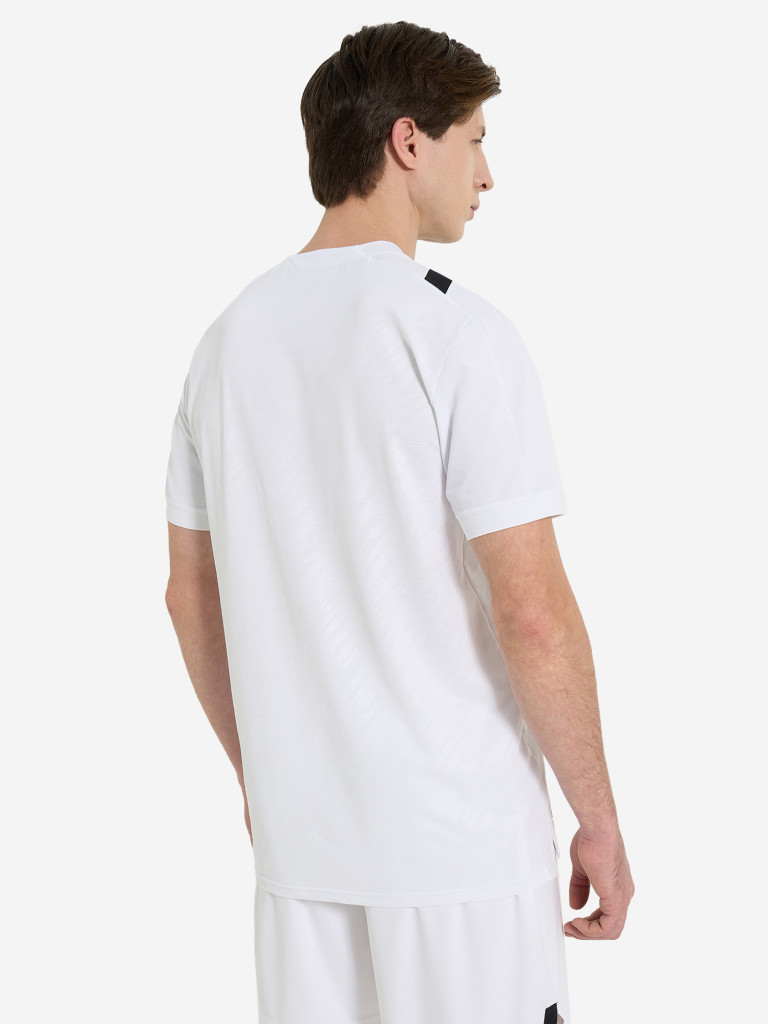 Футболка мужская Demix Ultimate