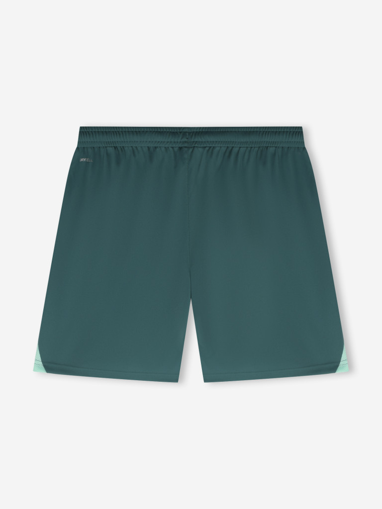 Шорты мужские PUMA Teamliga26