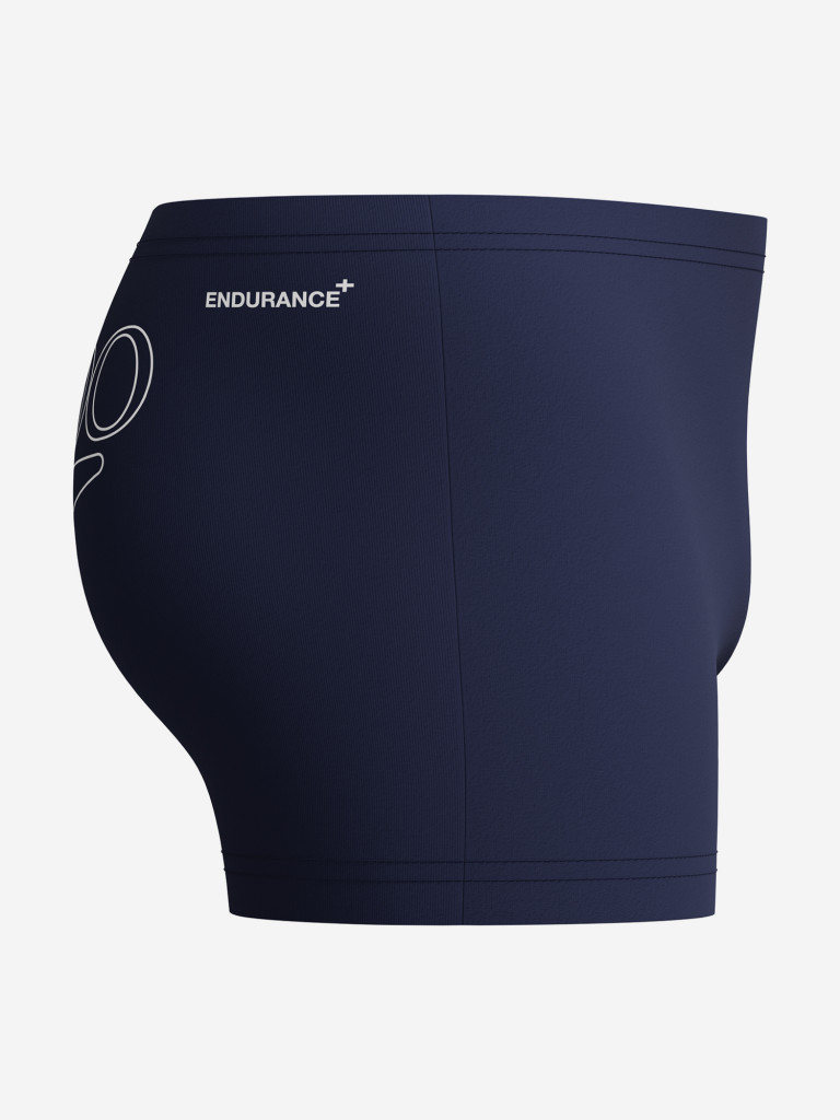 Плавки-шорты мужские Speedo Logo