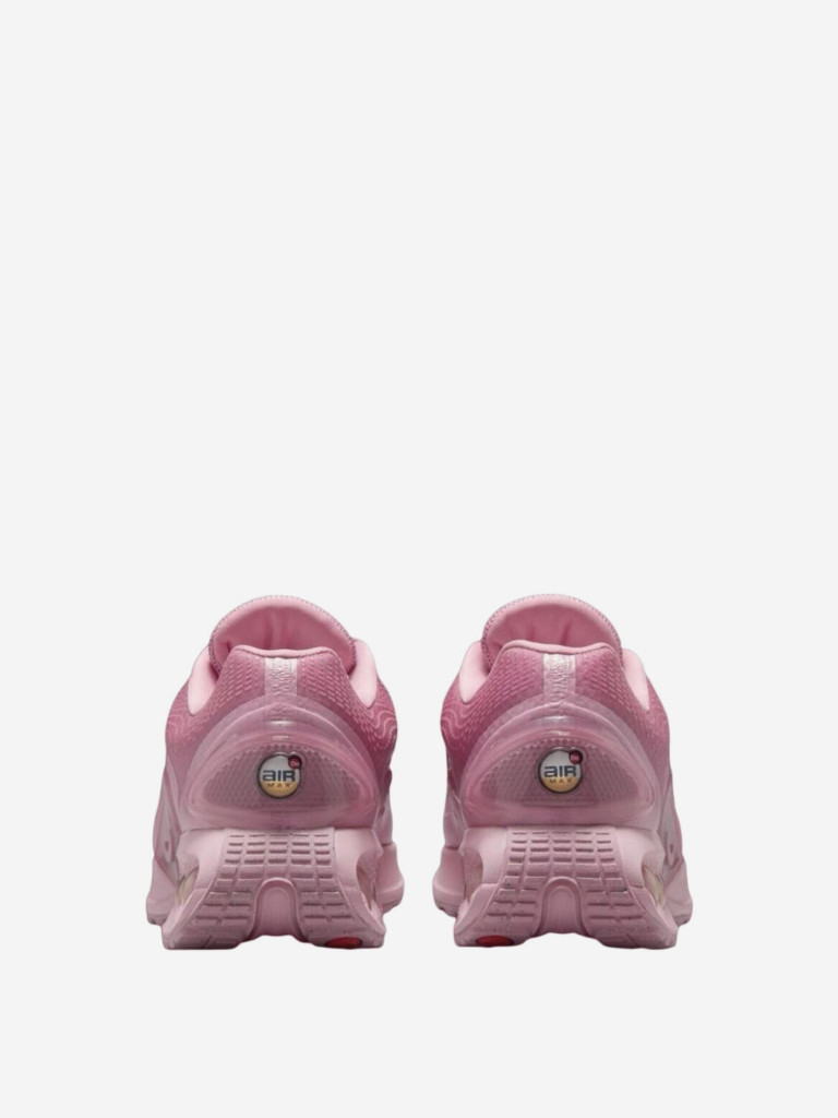 Кроссовки женские Nike Air Max Dn