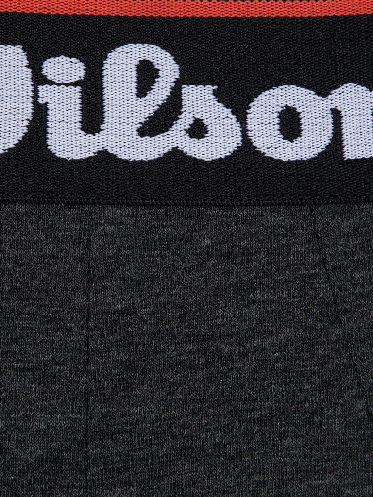 Трусы мужские Wilson, 2 штуки
