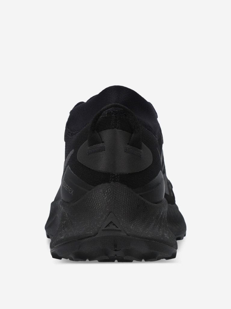 Кроссовки мужские Nike Pegasus Trail Gtx