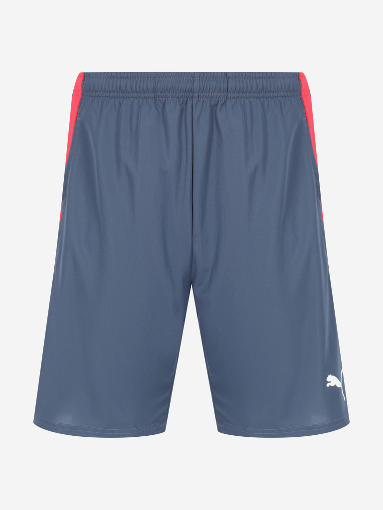 Шорты мужские PUMA Team Liga
