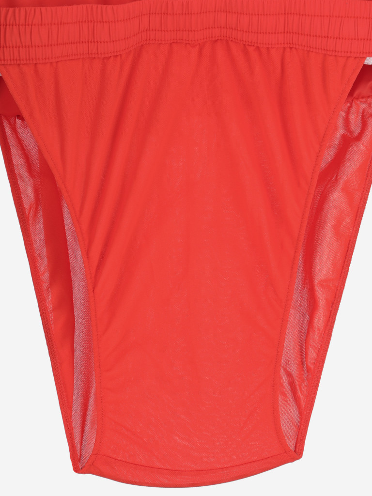 Шорты пляжные мужские Quiksilver Everyday Vert Volley