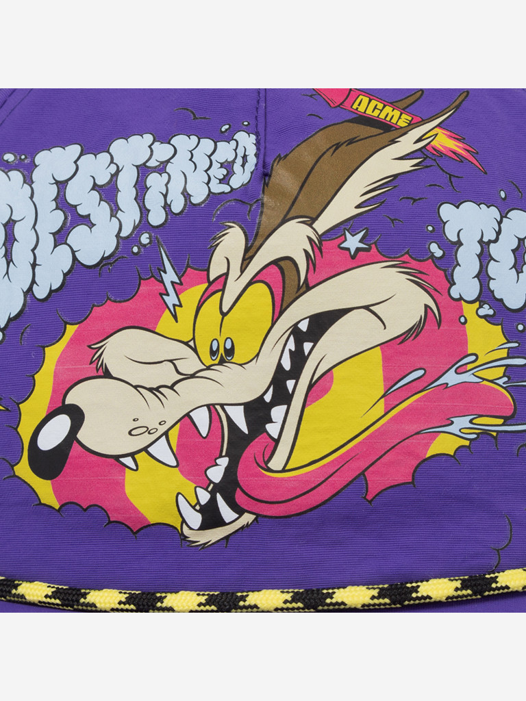 Бейсболка с прямым козырьком CAPSLAB CL/LOO13/1/CF/DTCB Looney Tunes Wile E. Coyote