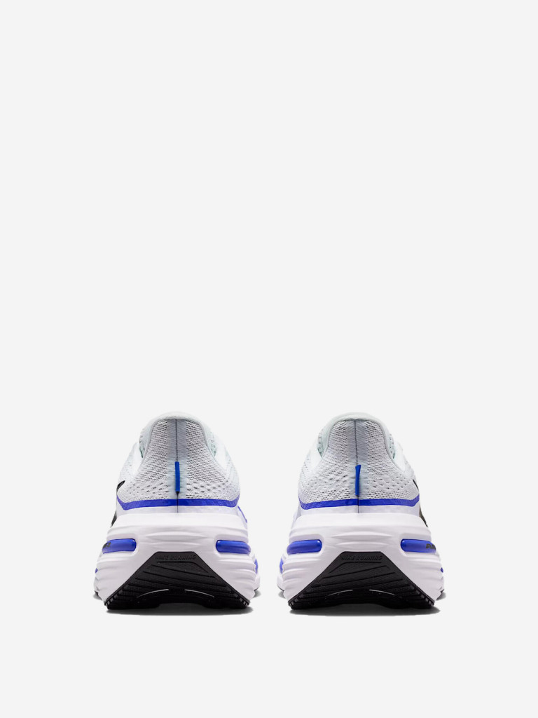 Кроссовки мужские Nike Winflo 12