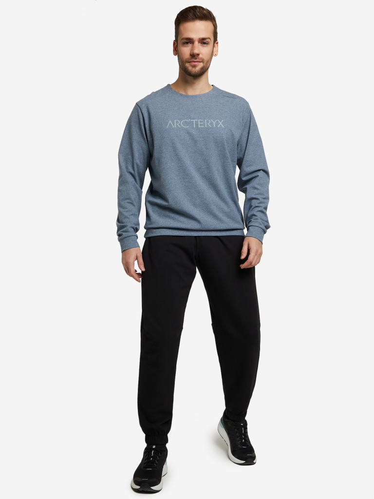 Свитшот мужской Arc'teryx Mentum