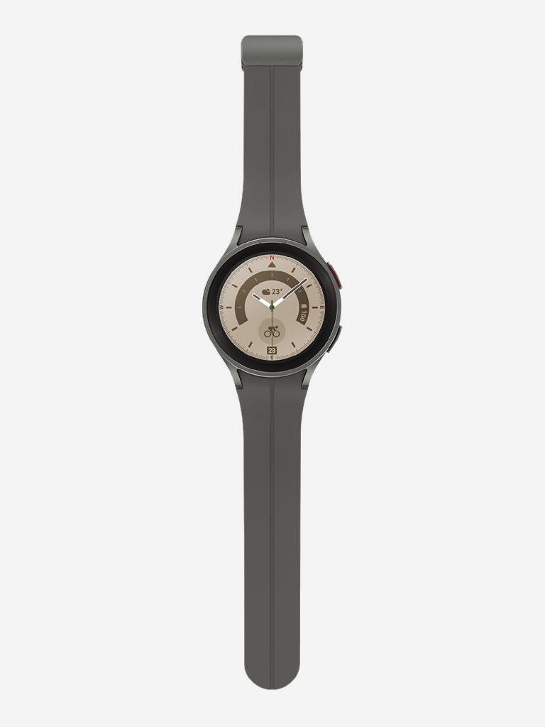 Смарт-часы Samsung Galaxy Watch5 Pro серый титан
