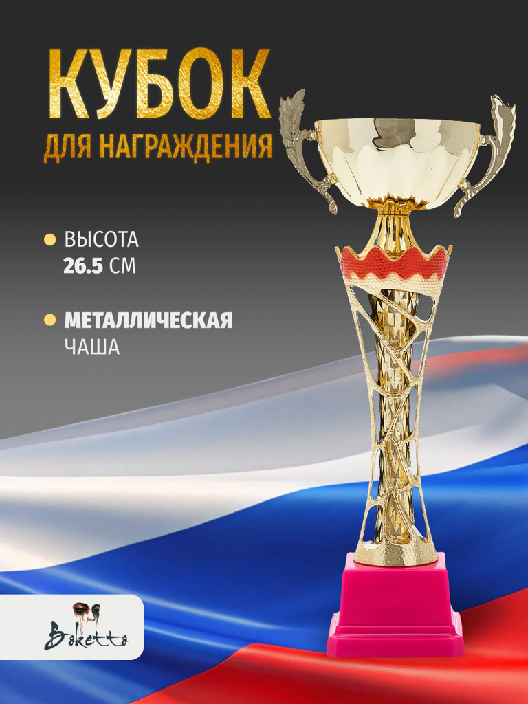 Спортивный кубок для награждения победителя 26.5 см