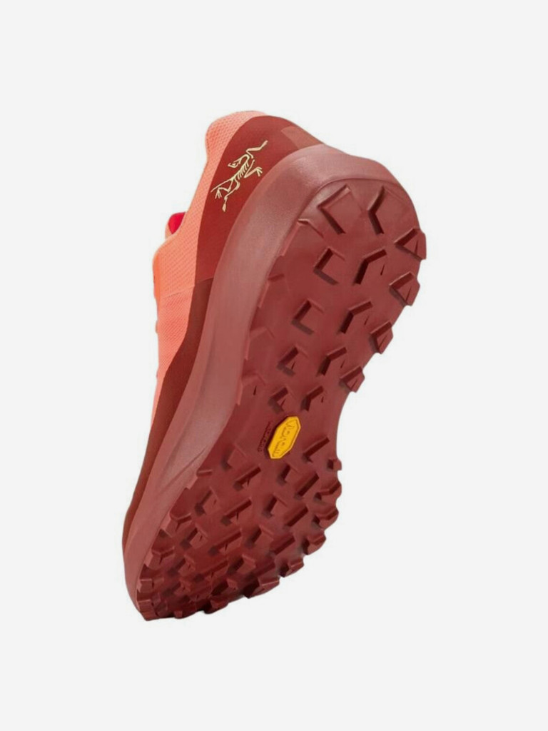 Кроссовки мужские Arc'teryx Norvan LD 4