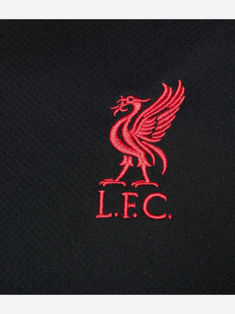 Футболка спортивная мужская Nike Liverpool F.C. Strike Special Edition Dri FIT