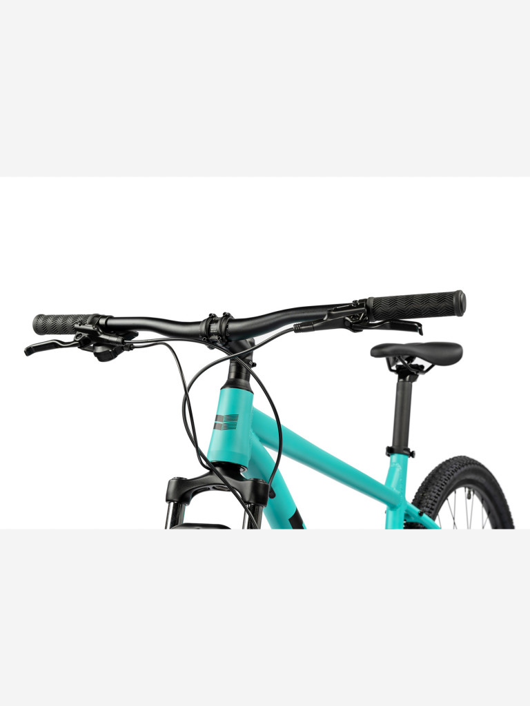 Велосипед горный Flightline Two 29r DLX 2025