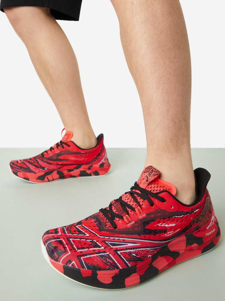 Кроссовки мужские ASICS Noosa Tri 15