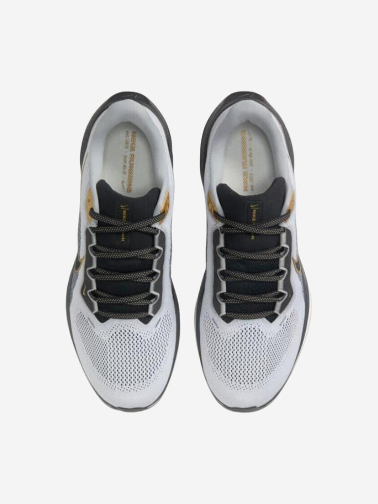 Кроссовки Nike Air Zoom Pegasus 41