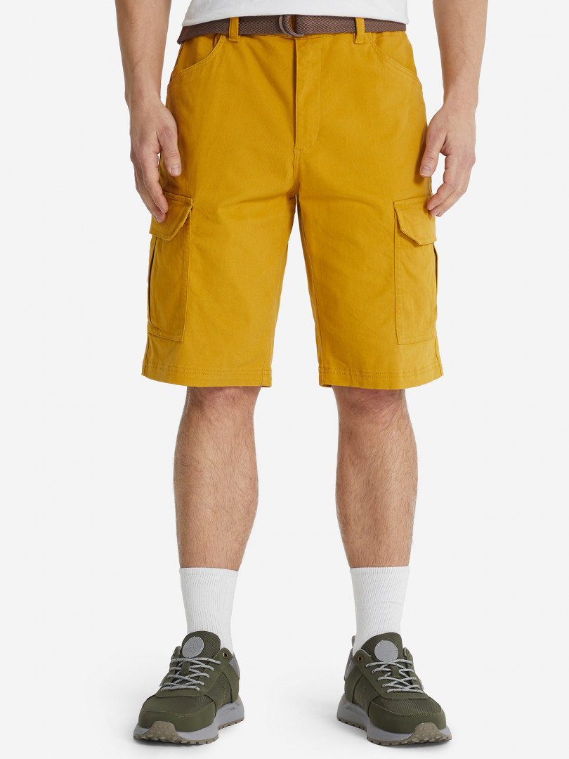 фото Шорты мужские cordillero, желтый