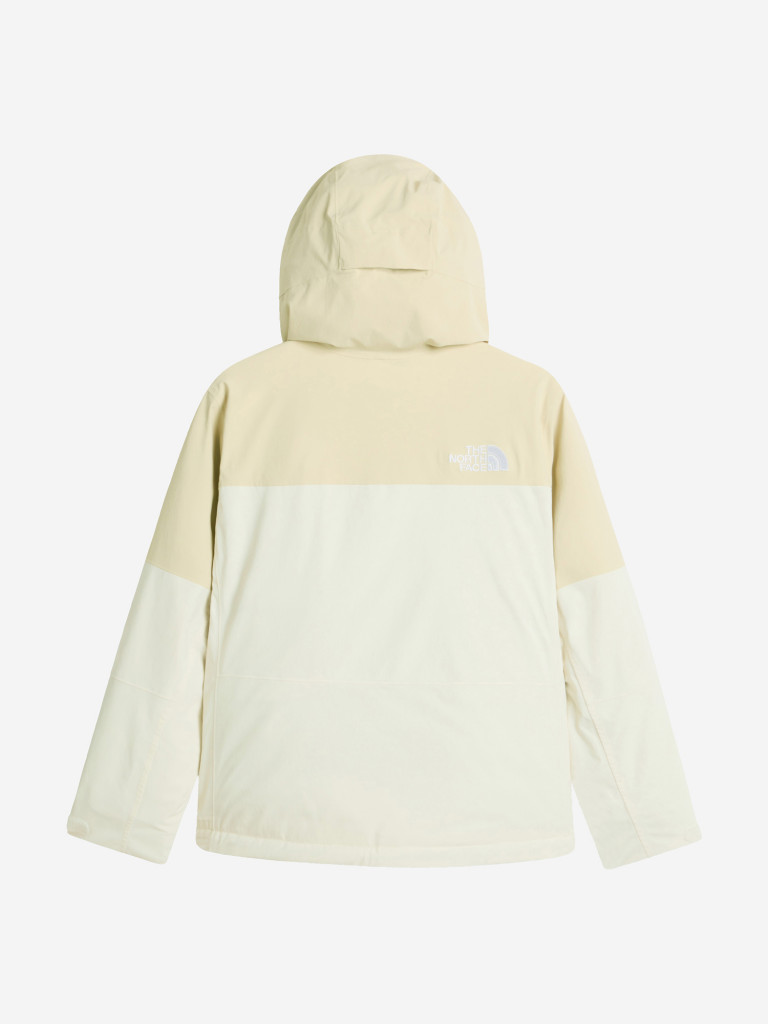 Куртка горнолыжная женская The North Face Freedom Insulated