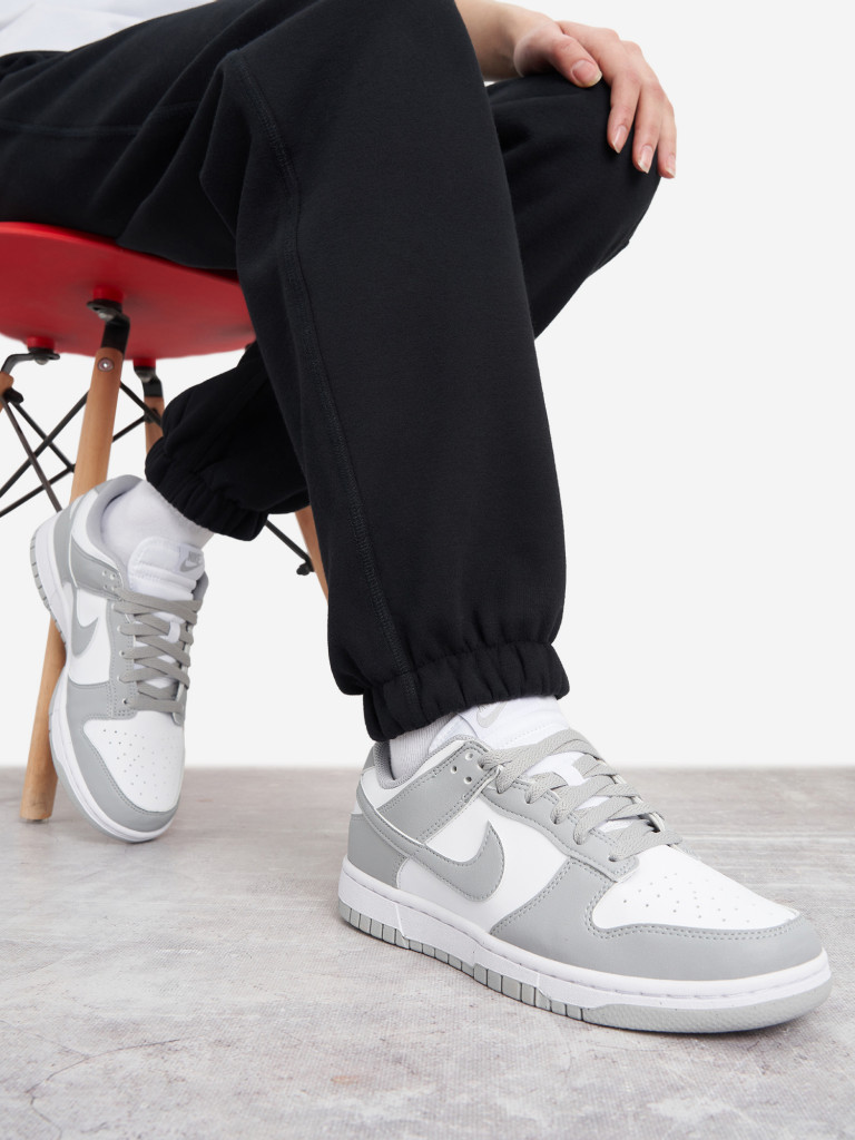 Кеды женские Nike Nike Dunk Low Next Nature