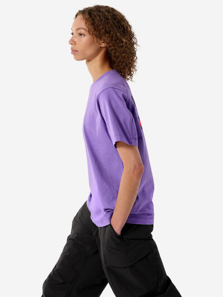 Футболка Arcteryx Kragg Cotton Sticker Crew