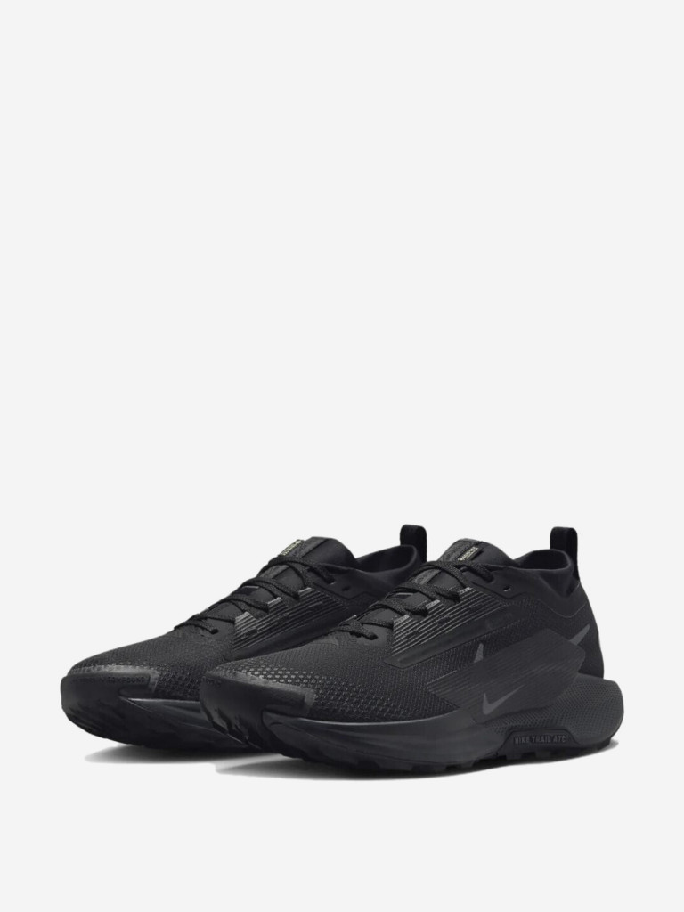 Кроссовки Nike Pegasus Trail 5