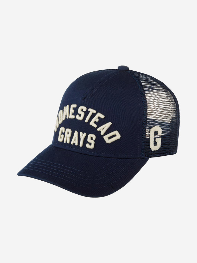 Бейсболка AMERICAN NEEDLE 22016A-HOG Homestead Grays Valin NL