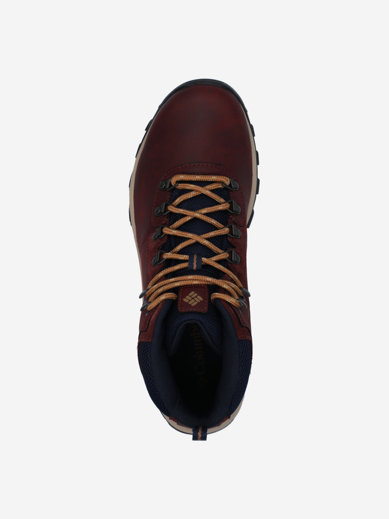 Ботинки мужские Columbia Newton Ridge Plus II Waterproof