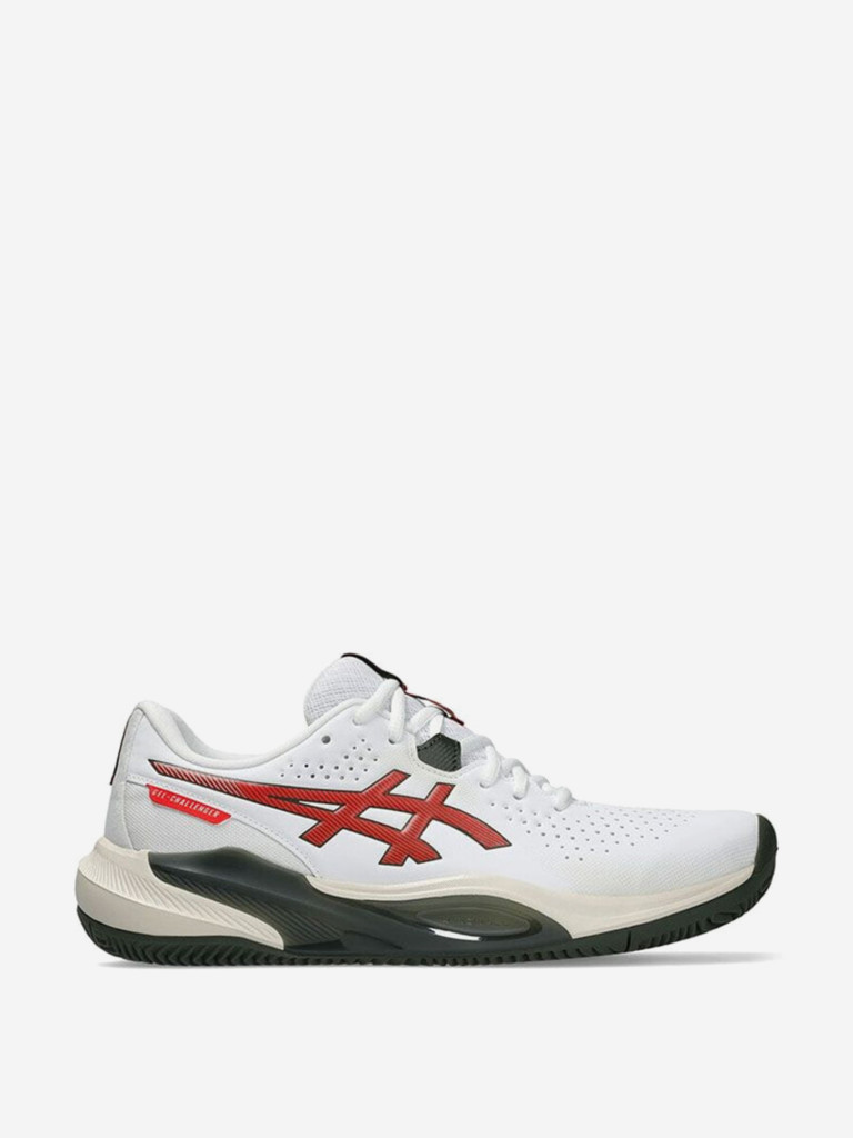 Кроссовки мужские ASICS Gel-Challenger 15