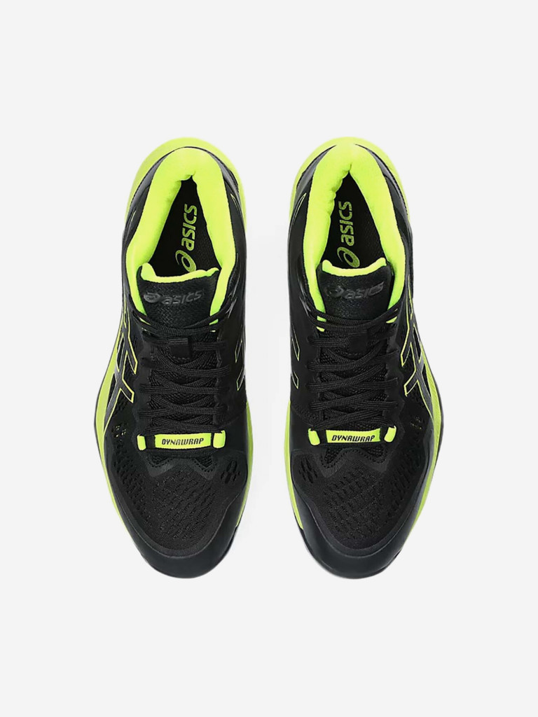 Кроссовки мужские Asics Sky Elite FF MT 2