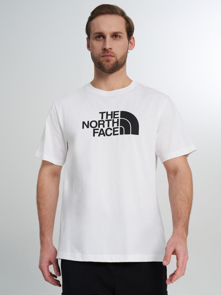 Футболка мужская The North Face Evolution